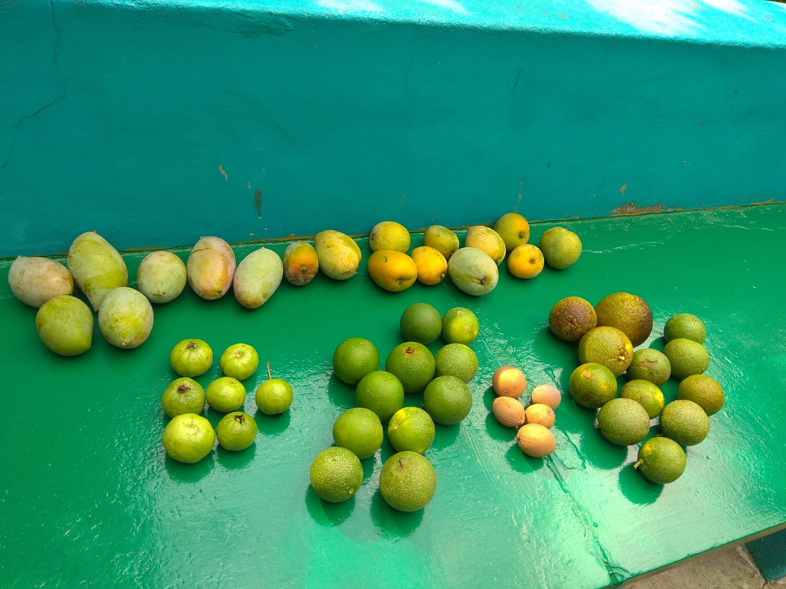 Mango