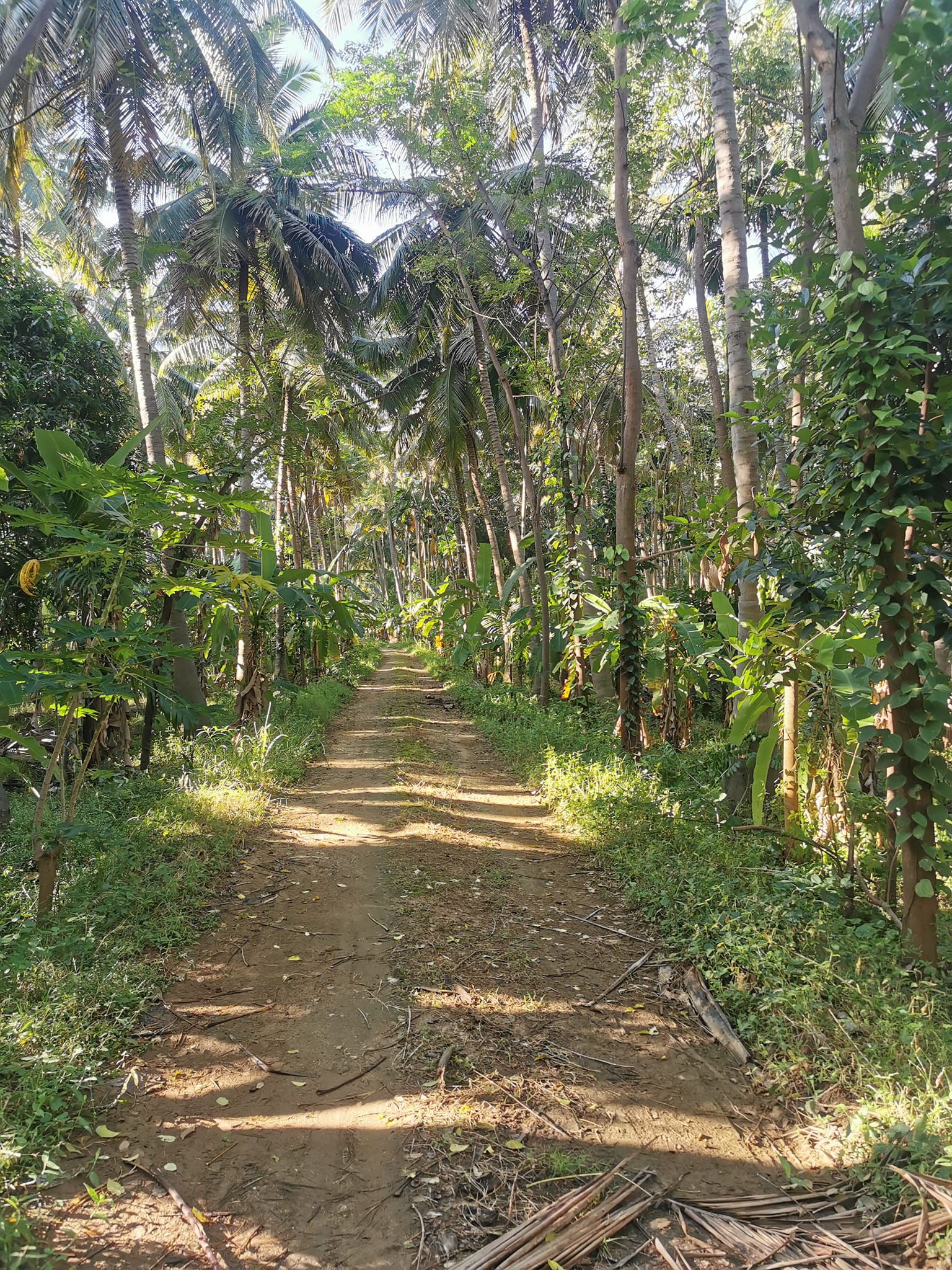 Farm pathway