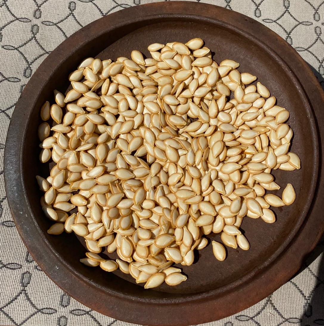 Seeds